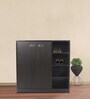 Matchbox 2 Door Shoe Cabinet in Wenge Colour