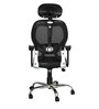 Matrix Ergonomic Chair in Black Colour