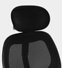 Matrix Torin Breathable Mesh Ergonomic Chair in Black Colour with Headrest