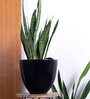 Eternity Slim Black Porcelain Floor Planters