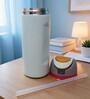 Green Matte Finish Stainless Steel Water Bottle with Flip Top Lid, 750 ml