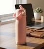 Matte Stainless Steel Pink Sports Vacuum Insulated Bottle with Handle Loop