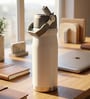 Matte Stainless Steel White Sports Vacuum Insulated Bottle with Handle Loop