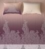 Mauve Floral 300 TC Cotton King Sized Fitted Bedsheet with 2 Pillow Covers
