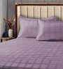 Mauve Solid 300 TC Cotton King Sized Bedsheet with 2 Pillow Covers