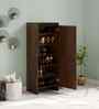 Mavis 2 Door Tall Shoe Cabinet In Brown Maple Finish