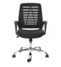 Max Ergonomic Chair in Black Colour