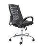 Max Ergonomic Chair in Black Colour
