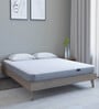 Max IceFoam 6 inch (78x72) with Cool Gel Foam King Size Mattress