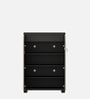 Maxwell 2 Door Shoe Cabinet In Natural Wenge & Melamine Finish