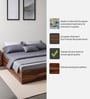 Maya Queen Size Bed with Box Storage In Vintage Sheesham Finish