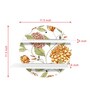 MDF Printed Contrast Floral Collection Circular Wall Shelf With White Plates
