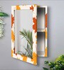 MDF Wall Cabinet With Mirror In Multicolour