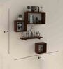 MDF Wood Wall Shelf in  Brown Colour