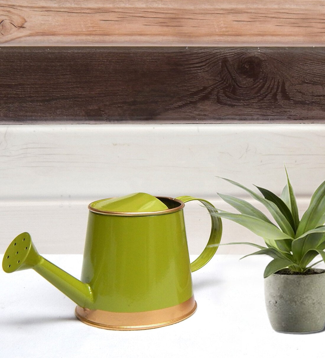 Metal Green 250 ML Watering Can, By Ecofynd 