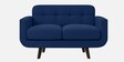 Mersela Velvet Fabric 2 Seater Sofa In Blue Colour