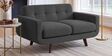 Mersela Velvet Fabric 2 Seater Sofa In Grey Colour