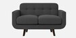 Mersela Velvet Fabric 2 Seater Sofa In Grey Colour