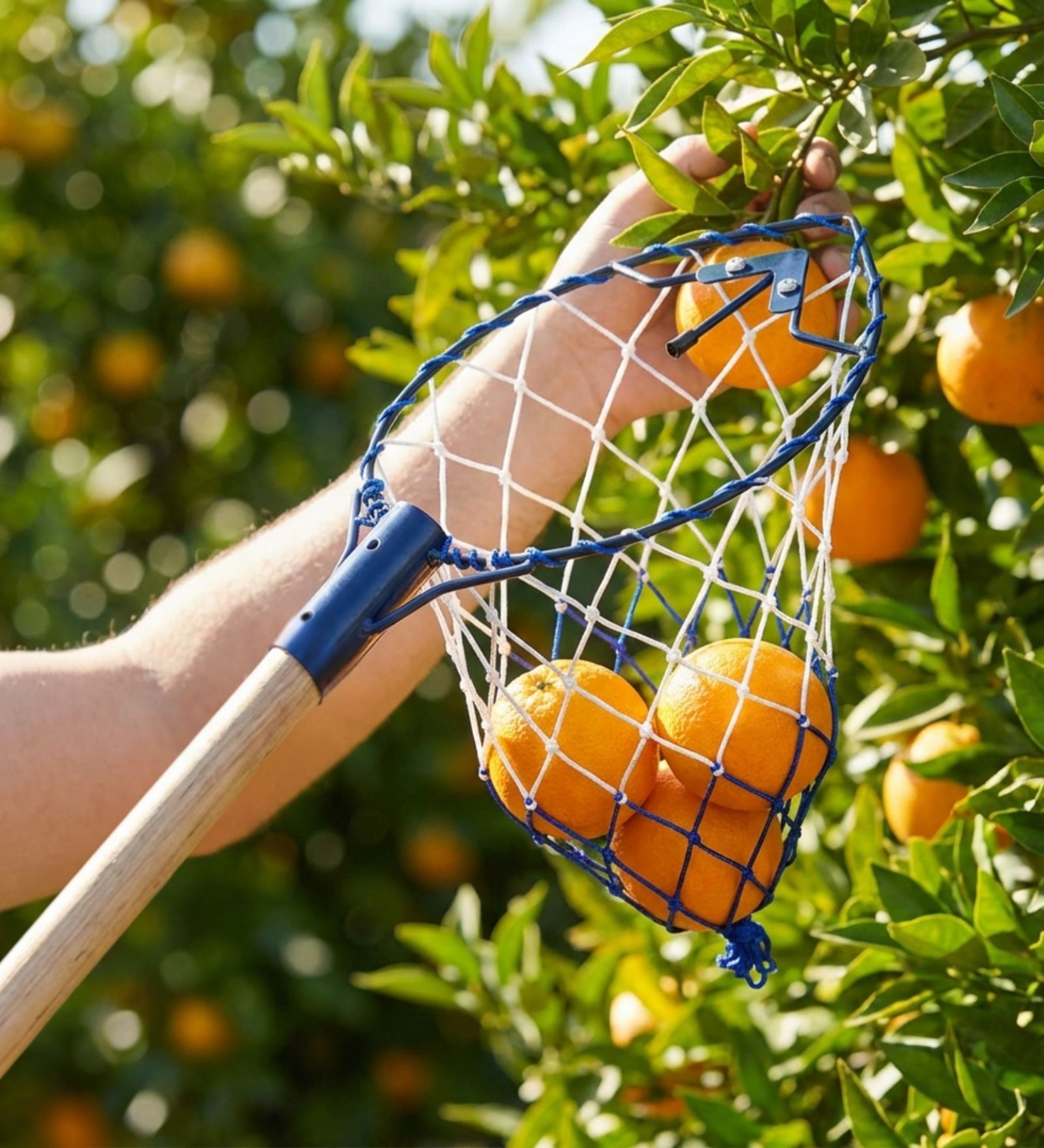 Blue Metal Fruit Catcher