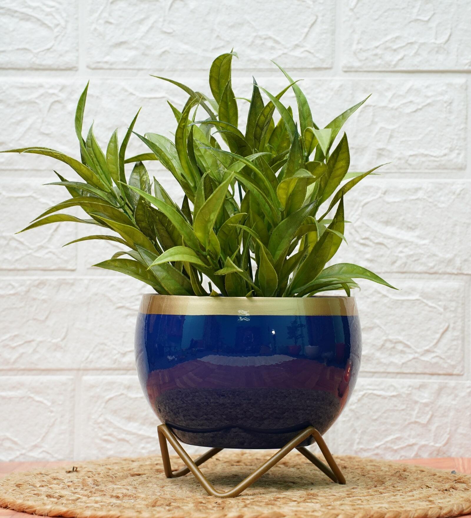Metal Desk Pot BlueGolden Print with stand