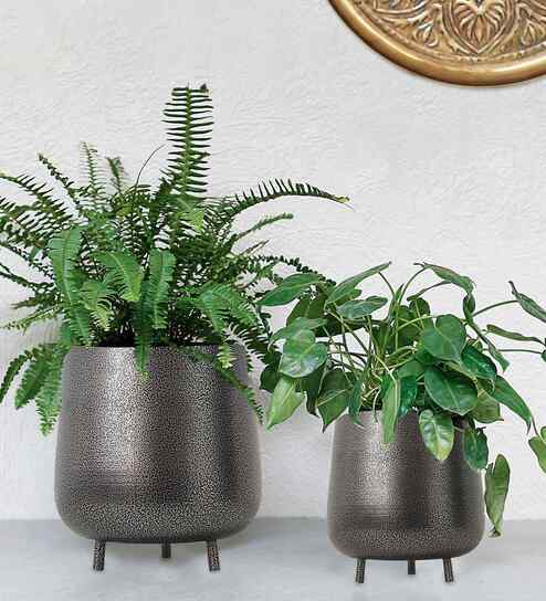(1Pc) Silver Metal Plant Stand