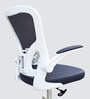 Swed Breathable Mesh Ergonomic Chair In Blue Colour
