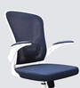 Swed Breathable Mesh Ergonomic Chair In Blue Colour