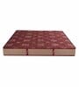 Medic Orthopaedic 72x60x6 Inches Bonnell Spring Queen Bed Mattress