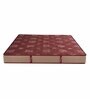 Medic Orthopaedic 75x36x6 Inches Bonnell Spring Single Bed Mattress