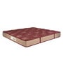 Medic Orthopaedic 75x72x8 Inches Bonnell Spring King Bed Mattress