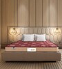 Medic Orthopaedic 78x48x6 Inches Bonnell Spring Single Bed Mattress