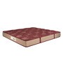 Medic Orthopaedic 78x48x6 Inches Bonnell Spring Single Bed Mattress