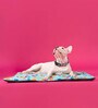 Dancing Pearl- Medium Blue Fabric Dog Mat