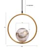 Medora Gold Metal Hanging Light