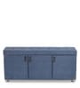 Mehran Shoe Rack with Seating in Light Blue Finish
