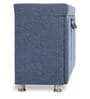 Mehran Shoe Rack with Seating in Light Blue Finish