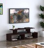 Melina TV Unit in Wenge Finish for TVs up to 65"