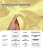 Mellow Yellow Solid 1000 TC Cotton Super King Sized Bedsheet with 4 Pillow Covers