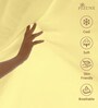 Mellow Yellow Solid 400 TC Cotton King Sized Fitted sheet with 2 Pillow Covers