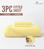 Mellow Yellow Solid 400 TC Cotton Queen Sized Fitted sheet with 2 Pillow Covers