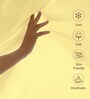 Mellow Yellow Solid 400 TC Cotton Single Sized Bedsheet with 1 Pillow Cover