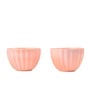 Melon Frost Ceramic Bowl Set of2(275ml Each)
