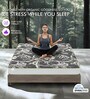 MEMOLATEX Visco Pro Memory Foam with Bamboo Charcoal fabric LATEX FOAM 8 Inches Queen Size Mattress in Grey Colour