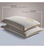 Memory Foam 28 x 18 Inch Pillows (Set of 2)