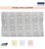 Memory Foam 20 x 12 Inch Pillow with Cover