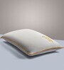 Clootech Memory Foam 25 x 16 Inch Pillow