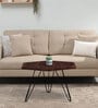 Fazola Sheesham Wood Coffee Table In Scratch Resistant Black Finish