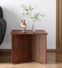 Meraki End Table in Brown Finish