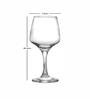 Meridian Stem Glass Tumbler set of 6pcs