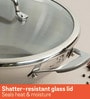 Selecta Nickel Free Silver Stainless Steel Kadhai with Lid